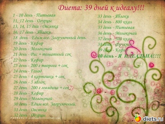 Диета 40 Дней Отзывы