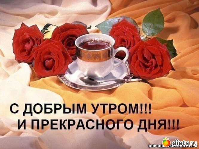 http://www.diets.ru/data/cache/2012jun/14/30/831234_56940-550x500.jpg