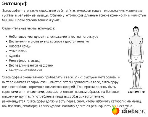 Диета Для Эктоморфа Для Набора Массы