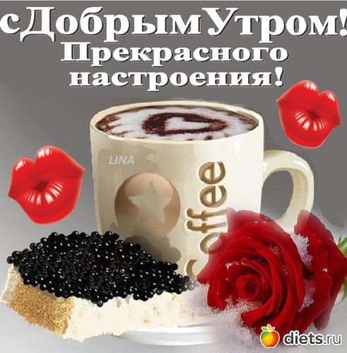 http://www.diets.ru/data/cache/2013jul/04/04/1494331_44658-550x500.jpg