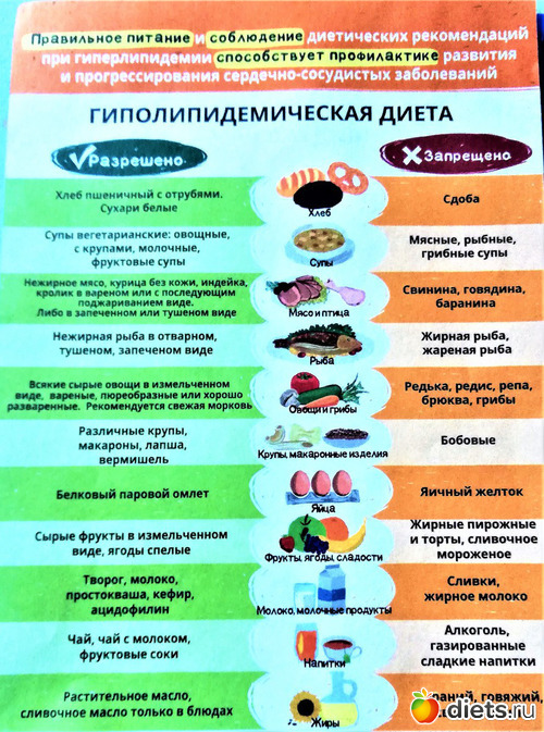 Гиполипидная Диета Какие Продукты Можно Есть