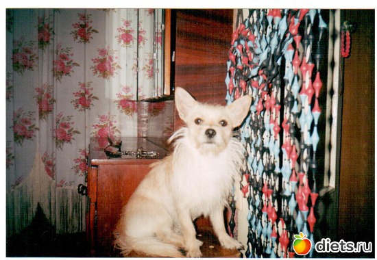 любюимец, альбом: !!!!