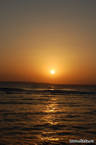    , : Sharm El Sheikh 11/2010
