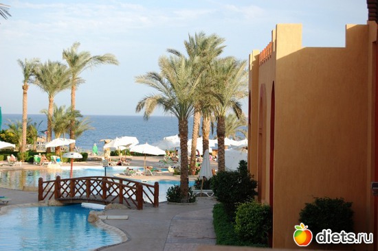 5 : Sharm El Sheikh 11/2010