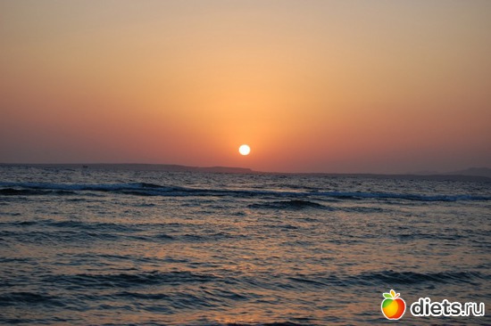 15 : Sharm El Sheikh 11/2010