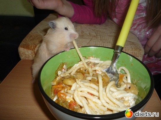 5 фото: Я и моя семья.