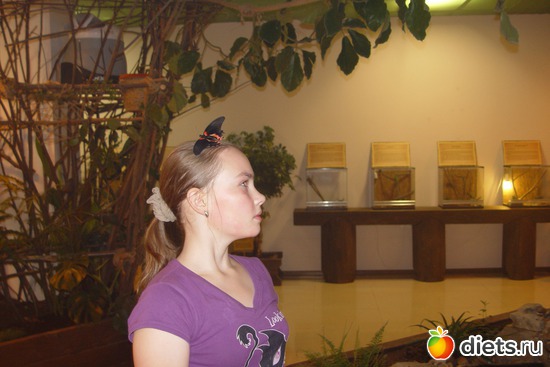 моя доченька, альбом: моя семья