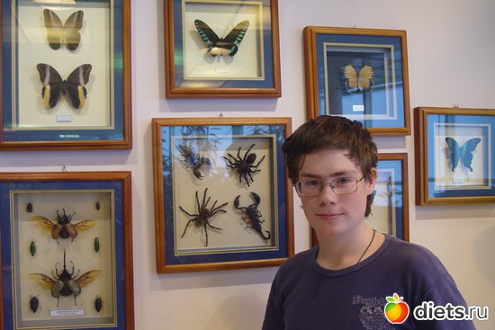 мой сын, альбом: моя семья