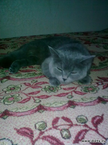 сонька, альбом: сонечка