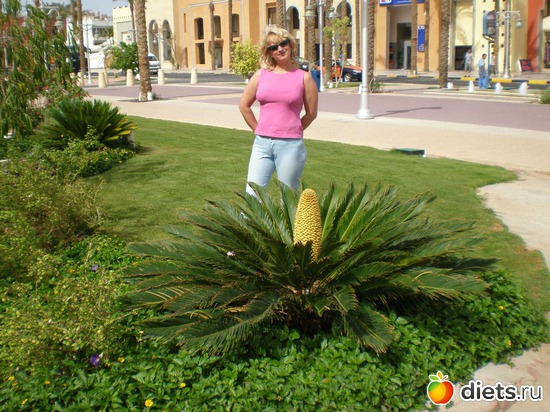 Египет. 2008 г., альбом: Жизнь прекрасна!