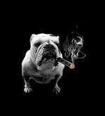 Нужен совет!!!