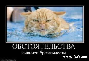 Удивительное рядом