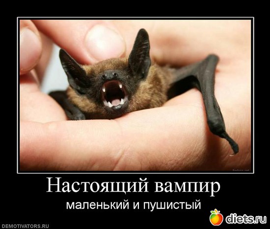 23 фото: Удивительное рядом