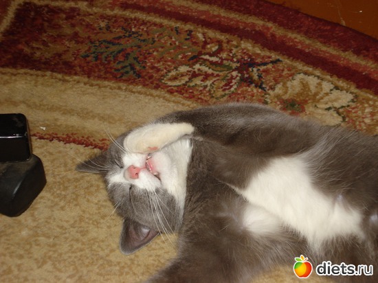 Не мешайте, я сплю!, альбом: Моя живулечка!!!