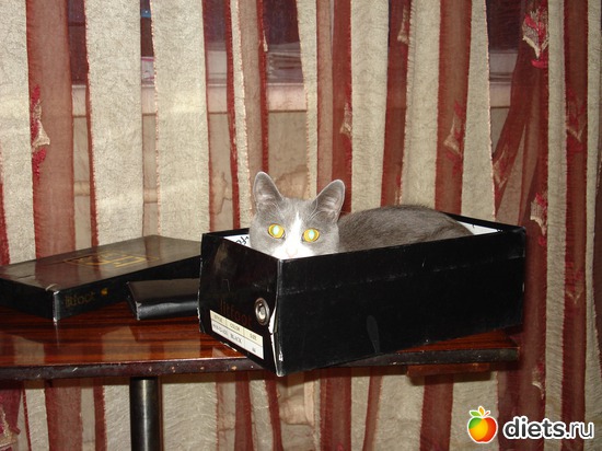 Продается дом!!! Хозяева еще не выехали!!!, альбом: Моя живулечка!!!