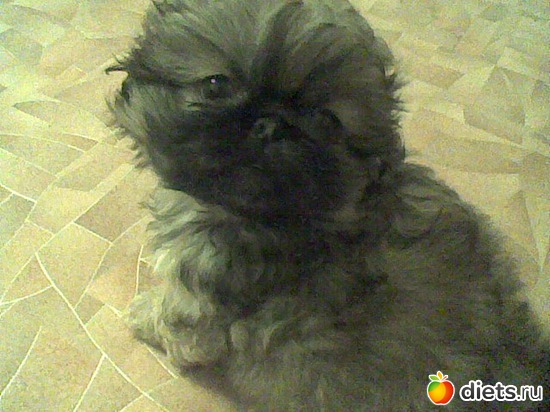 Это моя Асенька, альбом: Моя Асюшка