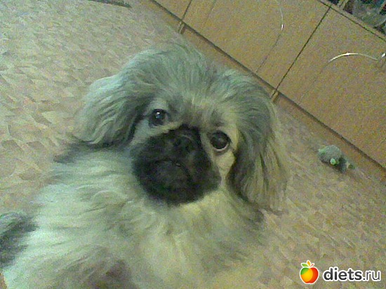 5 фото: Моя Асюшка