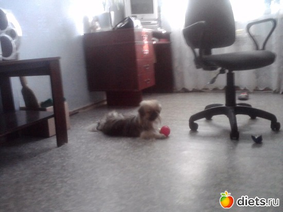 Игра с мячом, альбом: Моя Асюшка