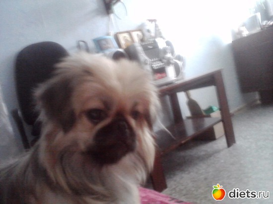 8 фото: Моя Асюшка