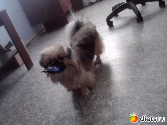 Это всё что оставила хозяйка((((, альбом: Моя Асюшка