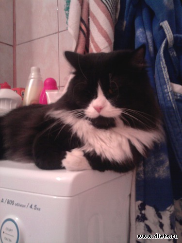 1 фото: Кисунька