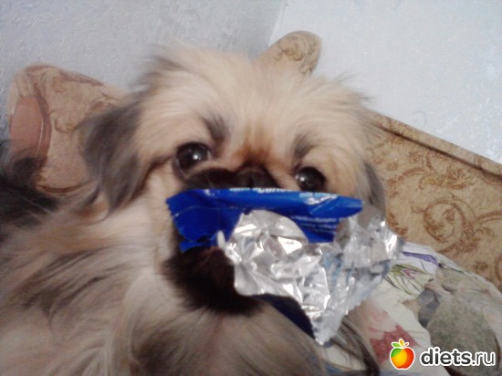 Вид ближе, чем кормят, альбом: Моя Асюшка