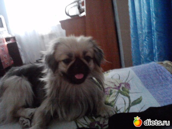 13 фото: Моя Асюшка