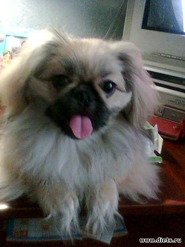 Вообще то с стола виднее, альбом: Моя Асюшка