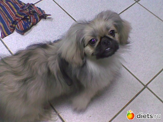 На работе, альбом: Моя Асюшка