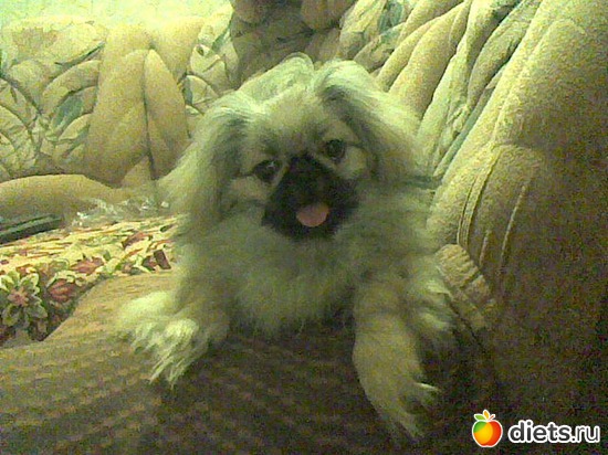 17 фото: Моя Асюшка