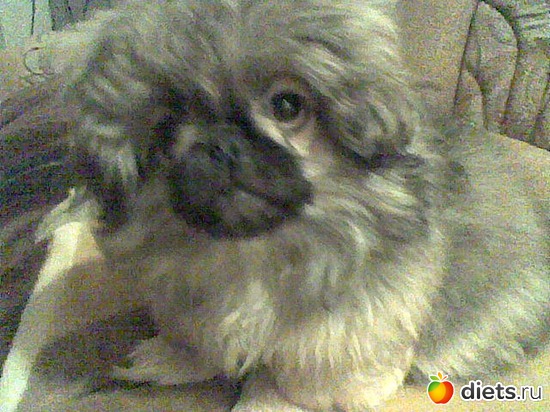 Вот такие мы в 6 месяцев, альбом: Моя Асюшка