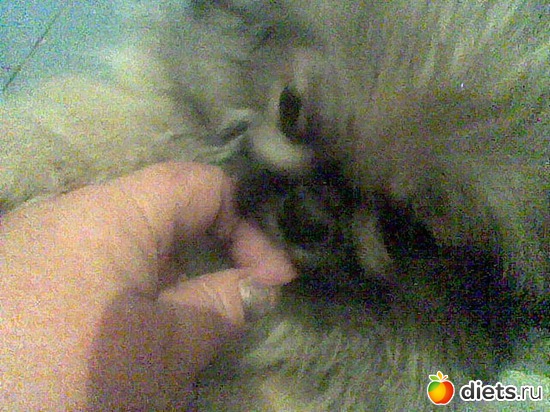 20 фото: Моя Асюшка