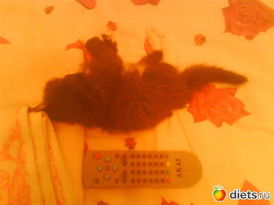 В первый день.Спим.Размером с пульт, альбом: Кисунька