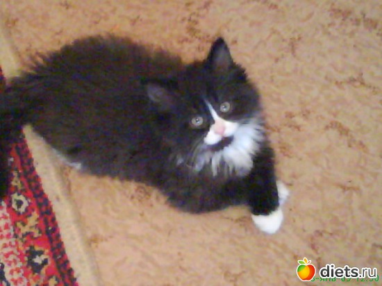 7 фото: Кисунька