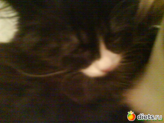 8 фото: Кисунька