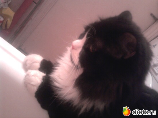 В ванной - видимо спинку потереть пришел))), альбом: Кисунька