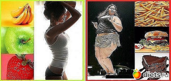 4 фото: и смешно, и плакать хочется