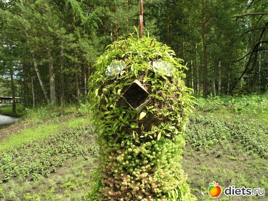 8 фото: Город, в котором я родилась