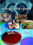 Среда обитания: Фаст фуд