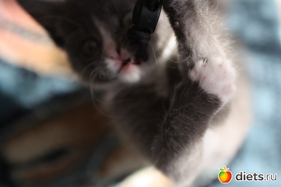 7 фото: moi givotnie