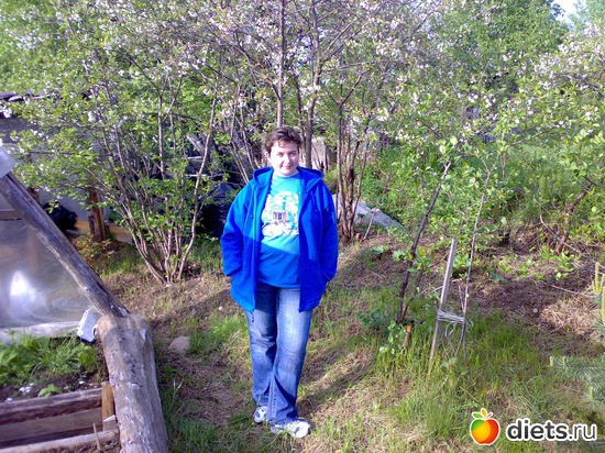 цветение вишни, альбом: Януся