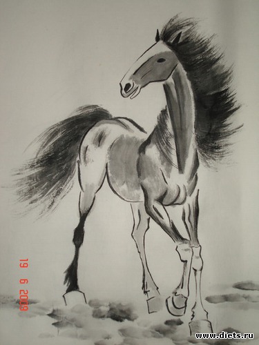 Школа китайской живописи, альбом: МОИ РАБОТЫ