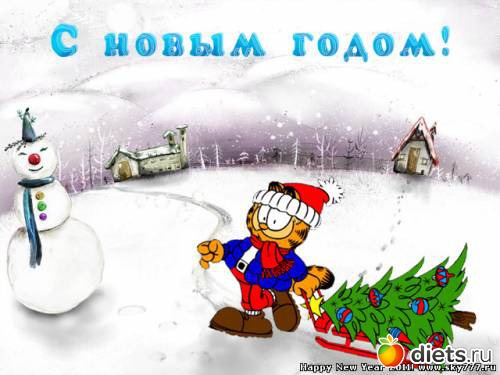 Новый год и Рождество.