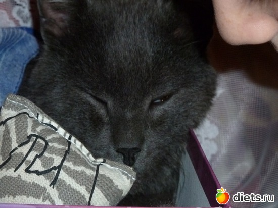 1 фото: Дымок