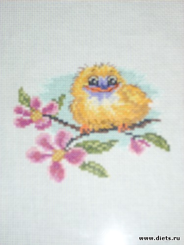 Цыпленок, альбом: Хобби