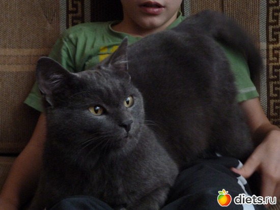 Урррчит, как трактор..., альбом: Дымок