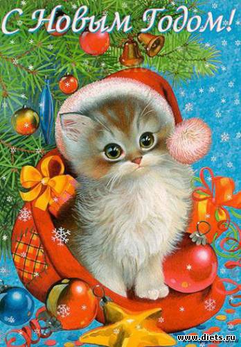 С годом кота!, альбом: Новый год и Рождество.