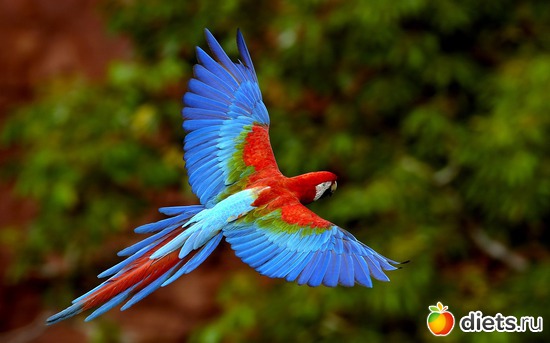 3 фото: Красивые обои