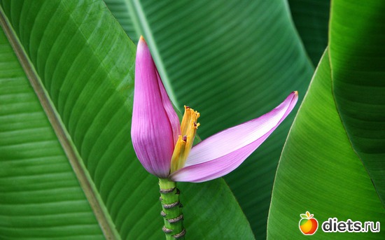 18 фото: Красивые обои