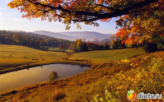 24 фото: Красивые обои